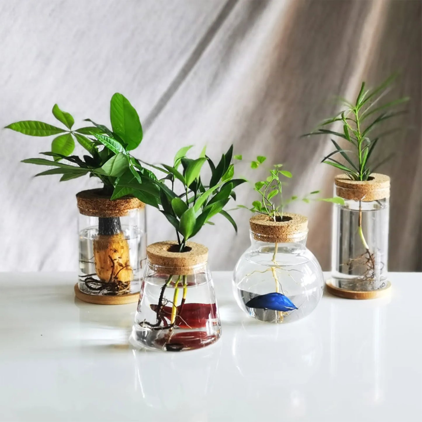 Glass Hydroponic Propagation Vase | Tabletop Planter for Home & Office