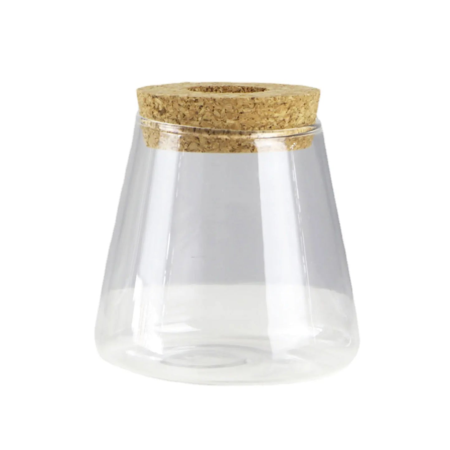 Glass Hydroponic Propagation Vase | Tabletop Planter for Home & Office