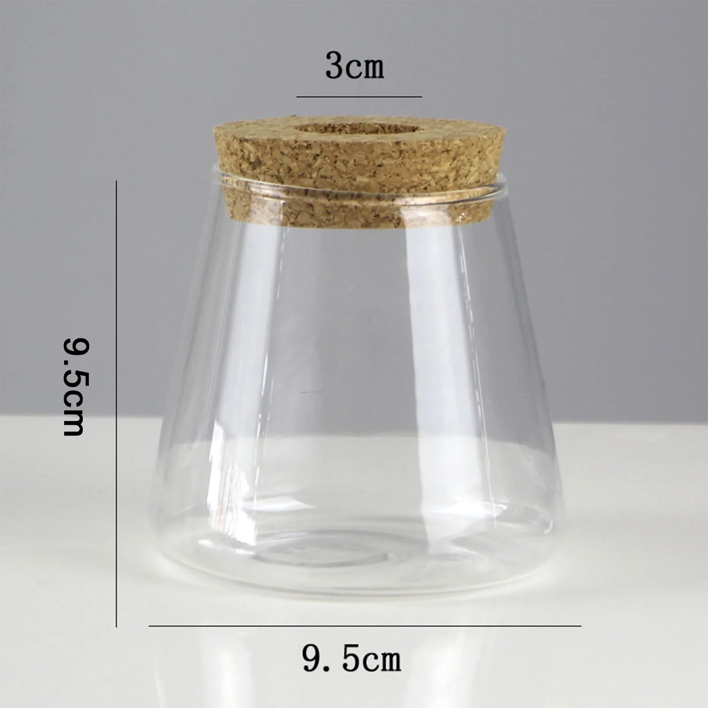 Glass Hydroponic Propagation Vase | Tabletop Planter for Home & Office